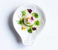 /album/daniela-cicioni/dsc-0788-3-edited-jpg/